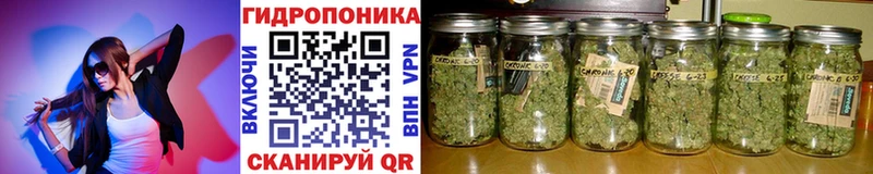 Марихуана SATIVA & INDICA  где продают   блэк спрут сайт  Заречный 